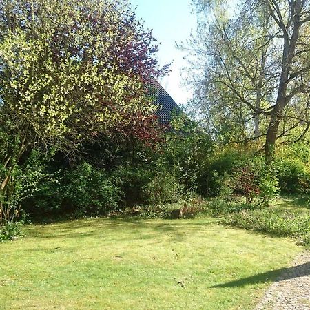 Sonniges Haeuschen Mit Garten Brunswick Extérieur photo