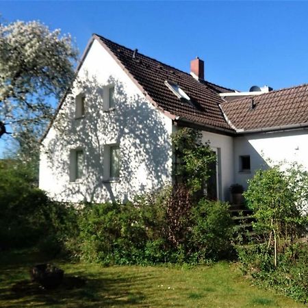 Sonniges Haeuschen Mit Garten Brunswick Extérieur photo